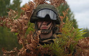 По данным начальника Генштаба ВСУ, российские военные в Беларуси остались