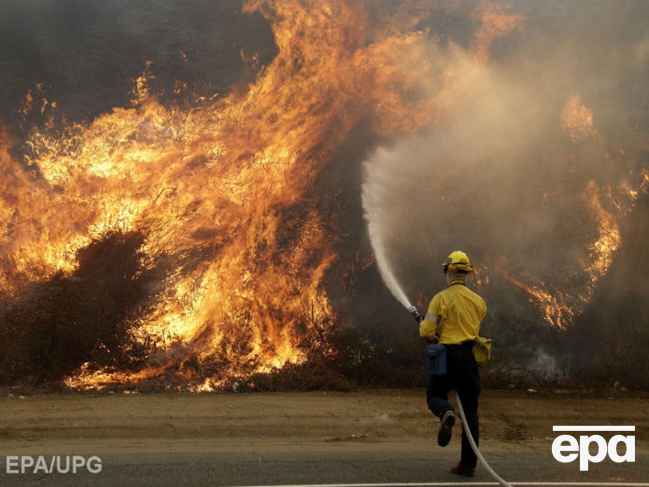 С начала года пожары на западе США бушевали на территории в 2,9 млн га
