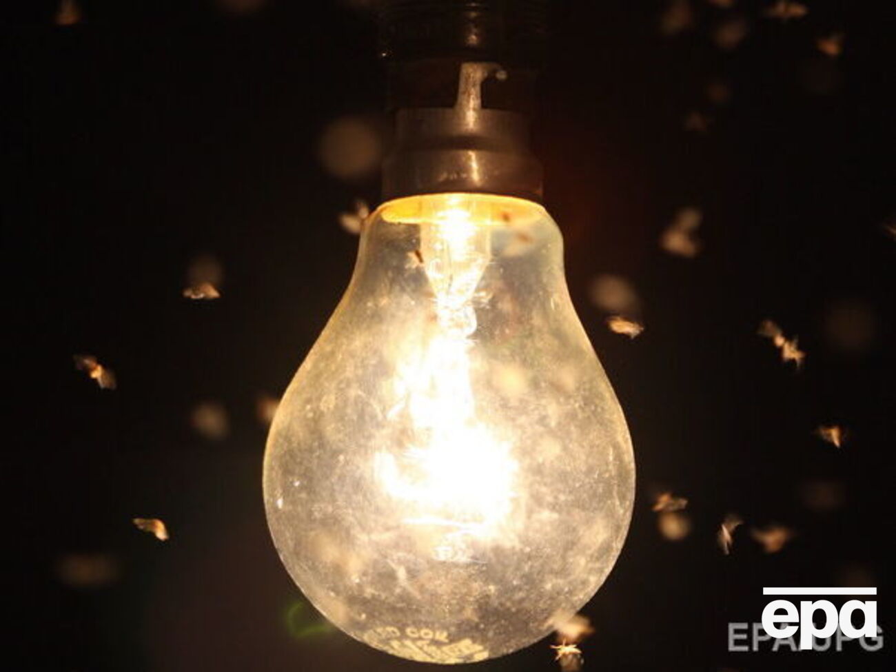 Негода знеструмила населені пункти в чотирьох областях