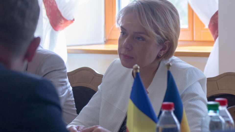Гриневич: Одномоментно ми цього зробити не можемо