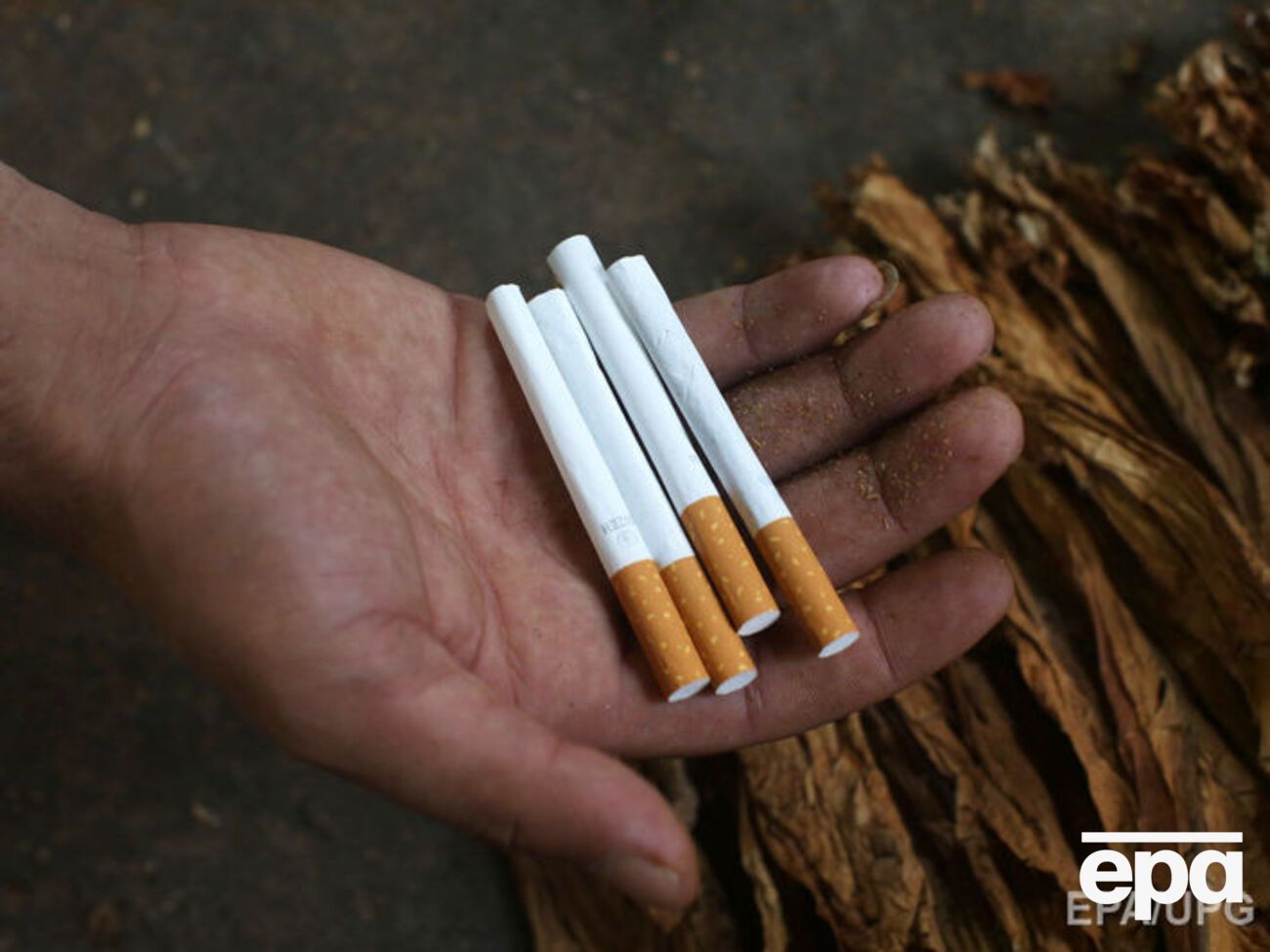 По данным ВОЗ, 7 млн человек в мире ежегодно умирают от курения