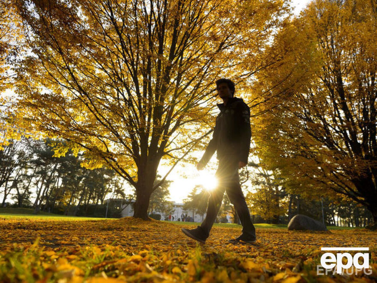 В ближайшее время в Украине будет тепло и солнечно