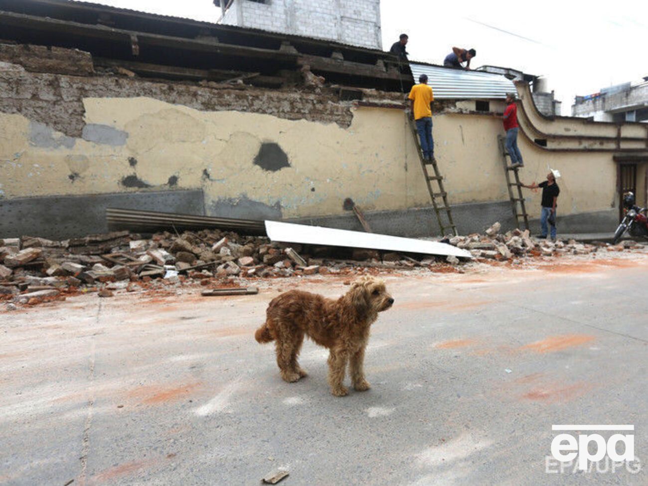 У ніч на 8 вересня в Мексиці стався землетрус магнітудою 8,1