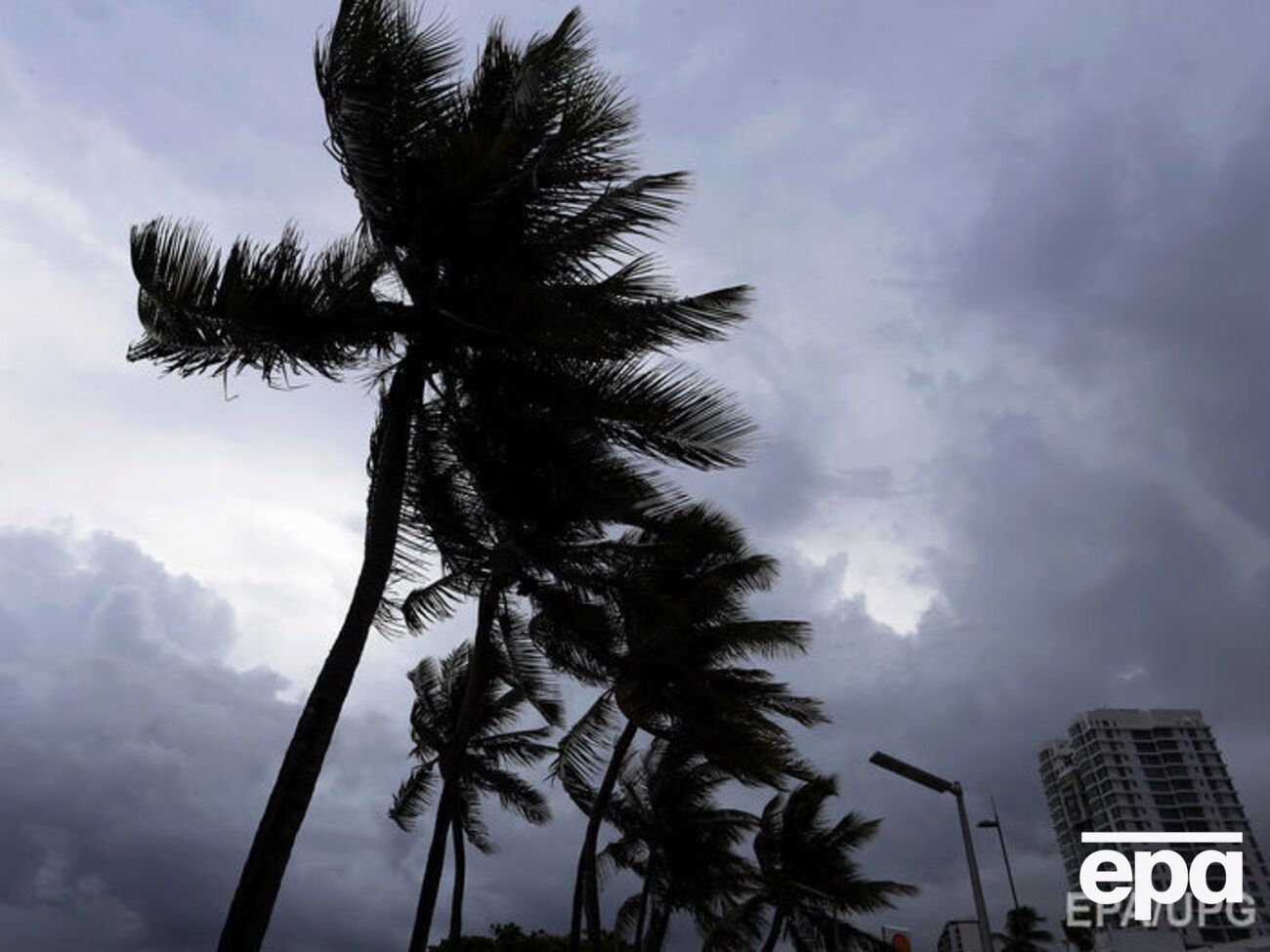 "Ирму" называют хуже "Эндрю"