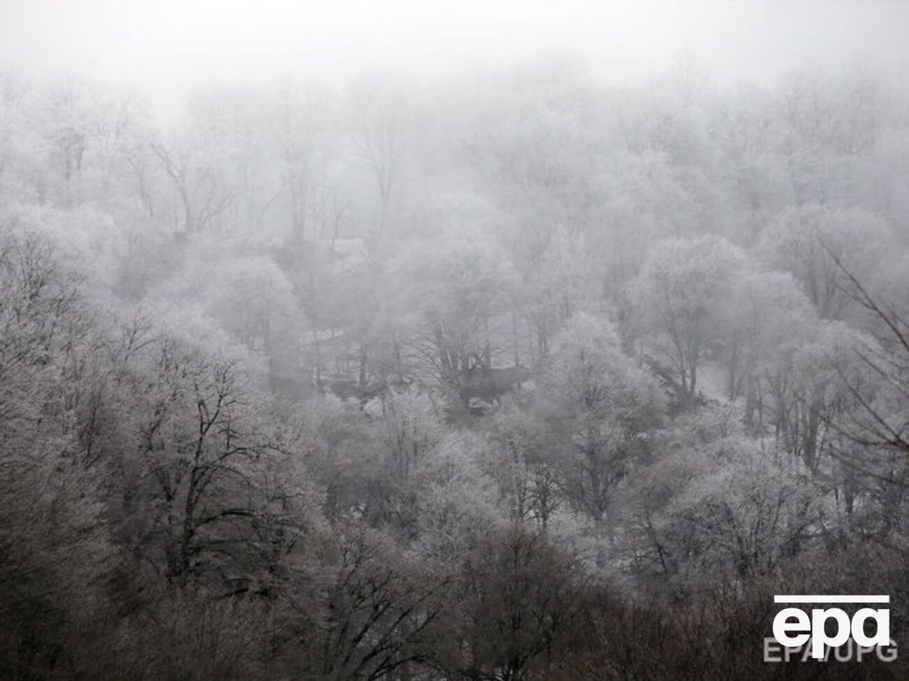 В Грузии возле границы с РФ сошла большая снежная лавина