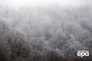 У Грузії біля кордону з РФ зійшла велика снігова лавина