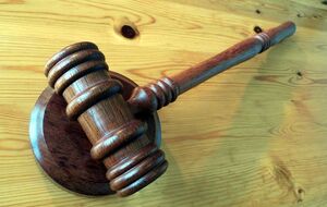 Холоднюк: Пока приговоры не будут вынесены, никто ликвидировать суды не будет