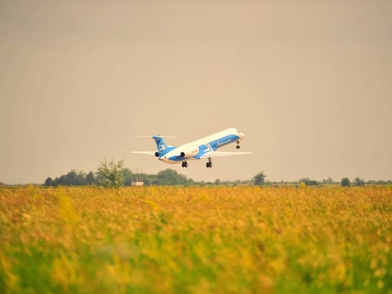 У збанкрутілої "Дніпроавіа" не залишилося літаків