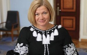 Геращенко: Законопроект нужно доработать до идеала