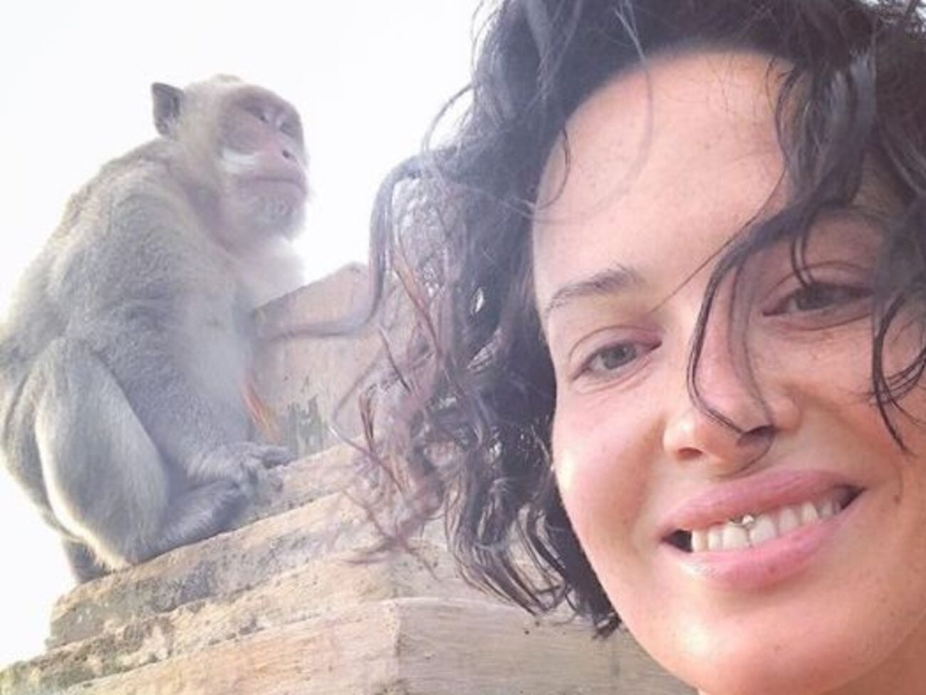 Астафьева: Запомните эту обезьяну в лицо