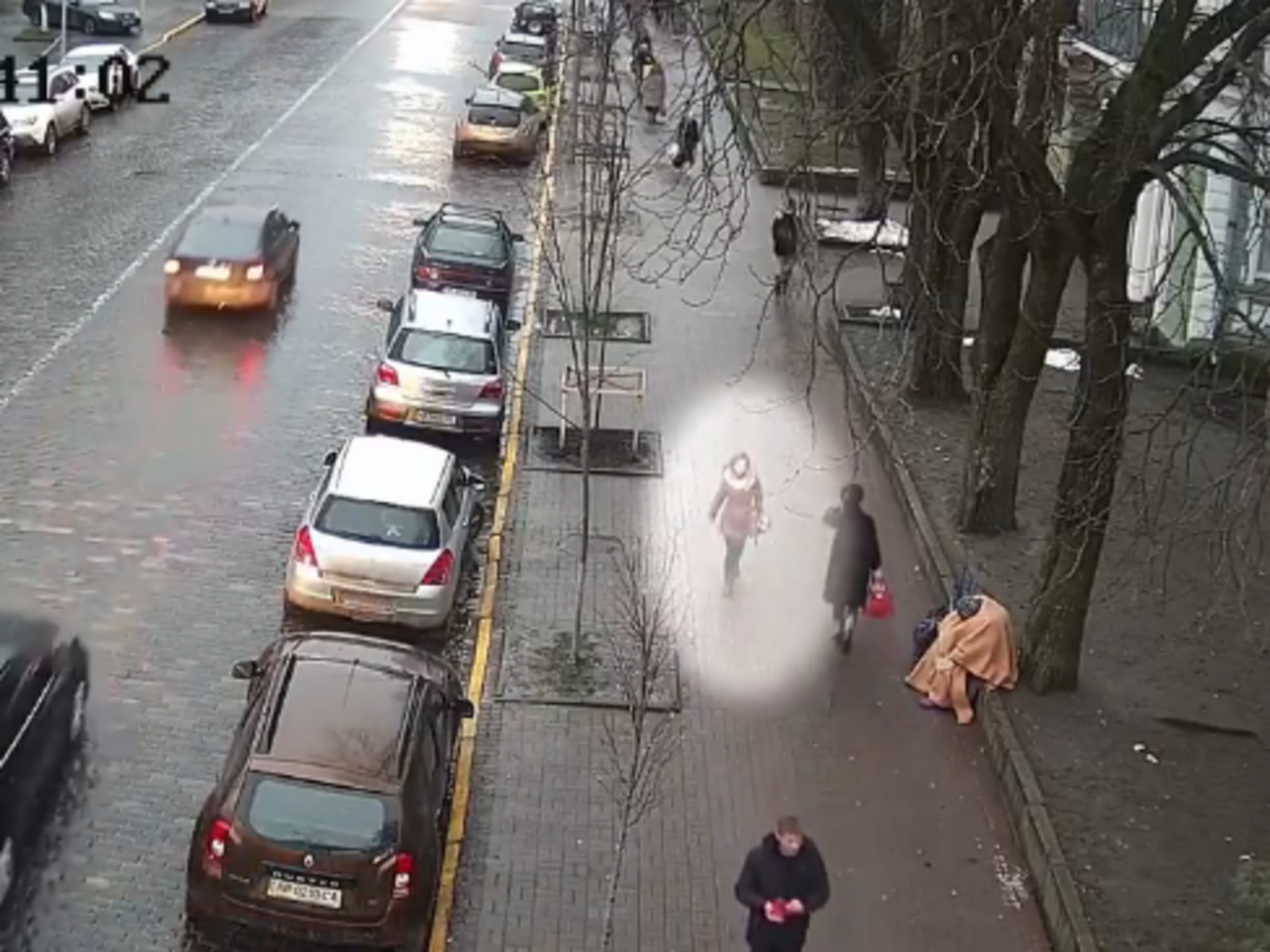 Поліція відстежила маршрут Ноздровської