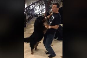 Танец генпрокурора с собакой