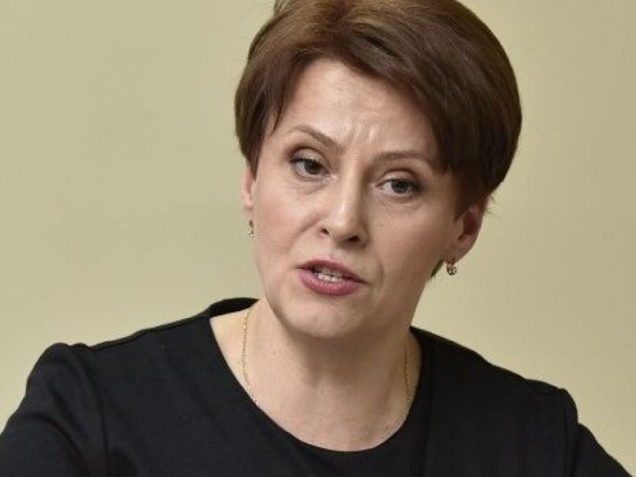 Южаніна заявила, що обмеження на безмитне ввезення товарів може бути скасовано, коли запрацює єдина база прикордонників і митників