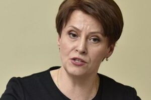 Южанина заявила, что ограничения на беспошлинный ввоз товаров могут быть отменены, когда заработает единая база пограничников и таможенников