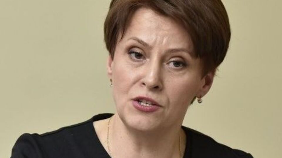 Южаніна заявила, що обмеження на безмитне ввезення товарів може бути скасовано, коли запрацює єдина база прикордонників і митників