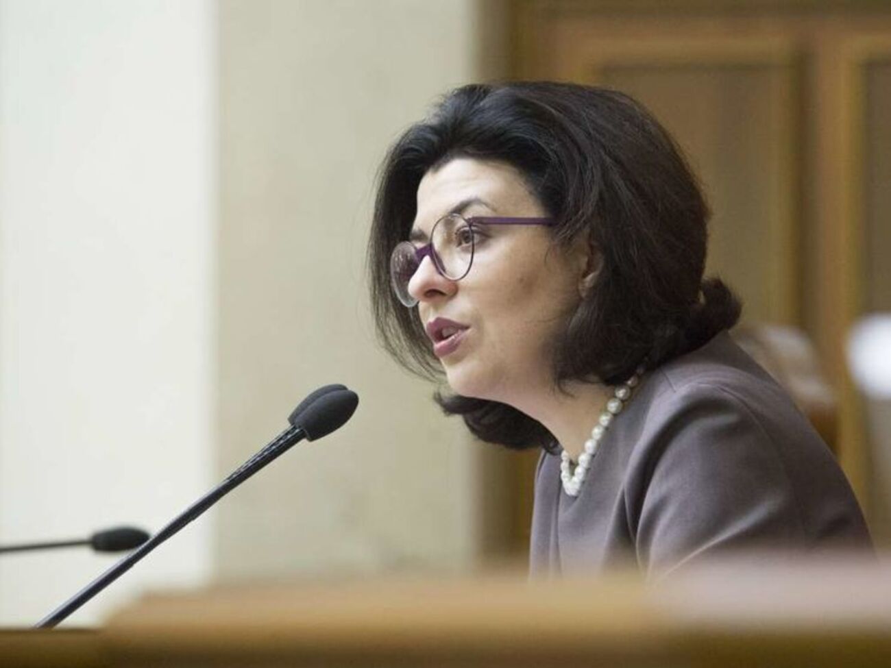 Сыроид выразила озабоченность в связи с принятием законопроекта №7163