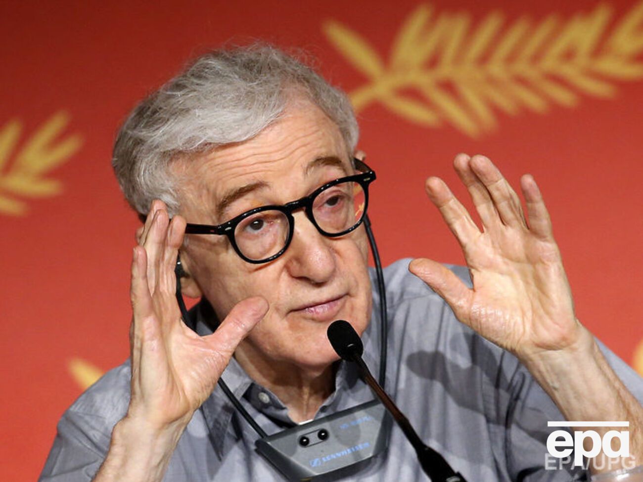 Вуди Аллен все обвинения отрицает