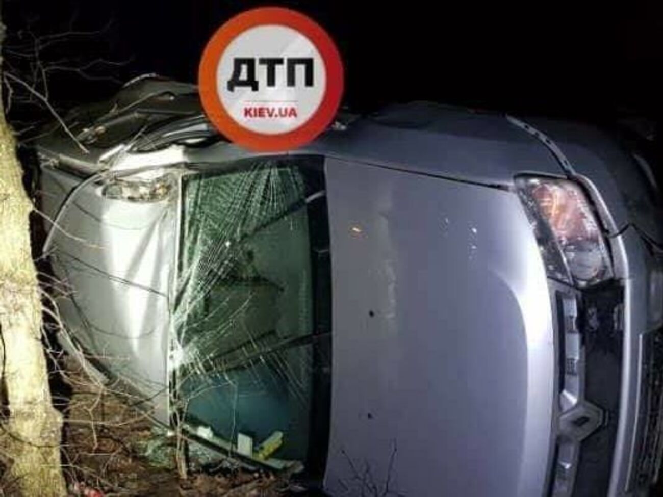 Renault від удару вилетів у кювет і перекинувся на бік