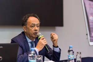 Мингарелли считает, что НАПК не в состоянии проверять декларации