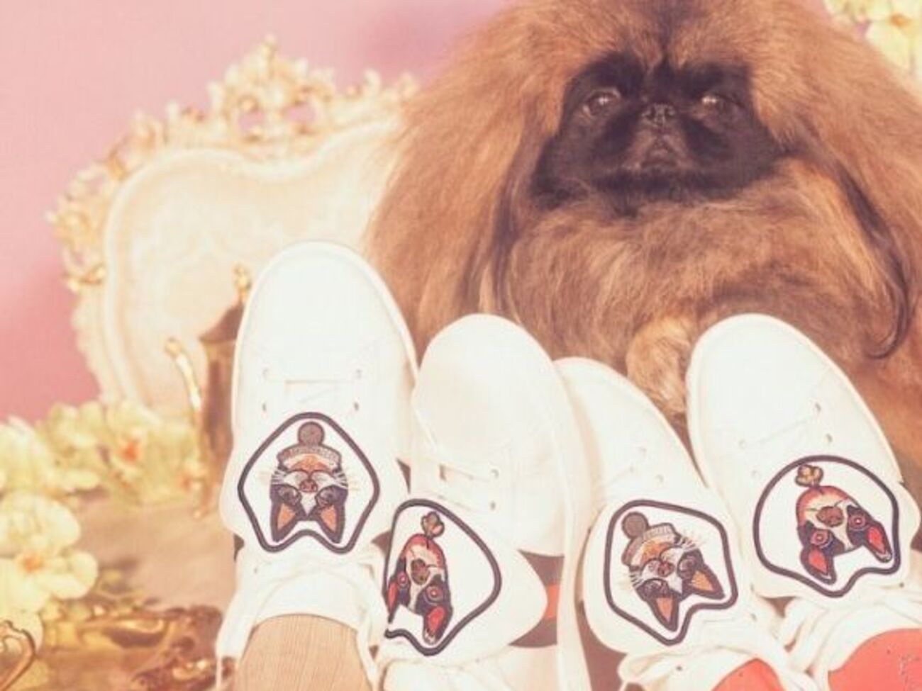 Главным мотивом новой коллекции Gucci стало изображение собак