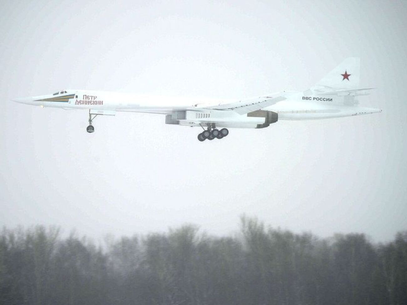 Путін упевнений, що пасажирський аналог Ту-160 матиме попит у Росії