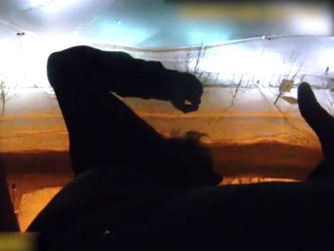 Патрульні встигли зловити самогубцю за ногу