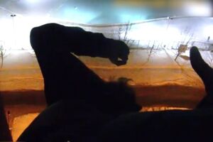 Патрульні встигли зловити самогубцю за ногу