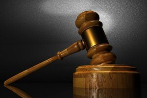 Подсудимая полностью признала свою вину