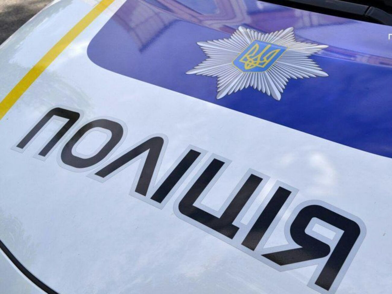 Проверка полиграфом не обнаружила ложных показаний