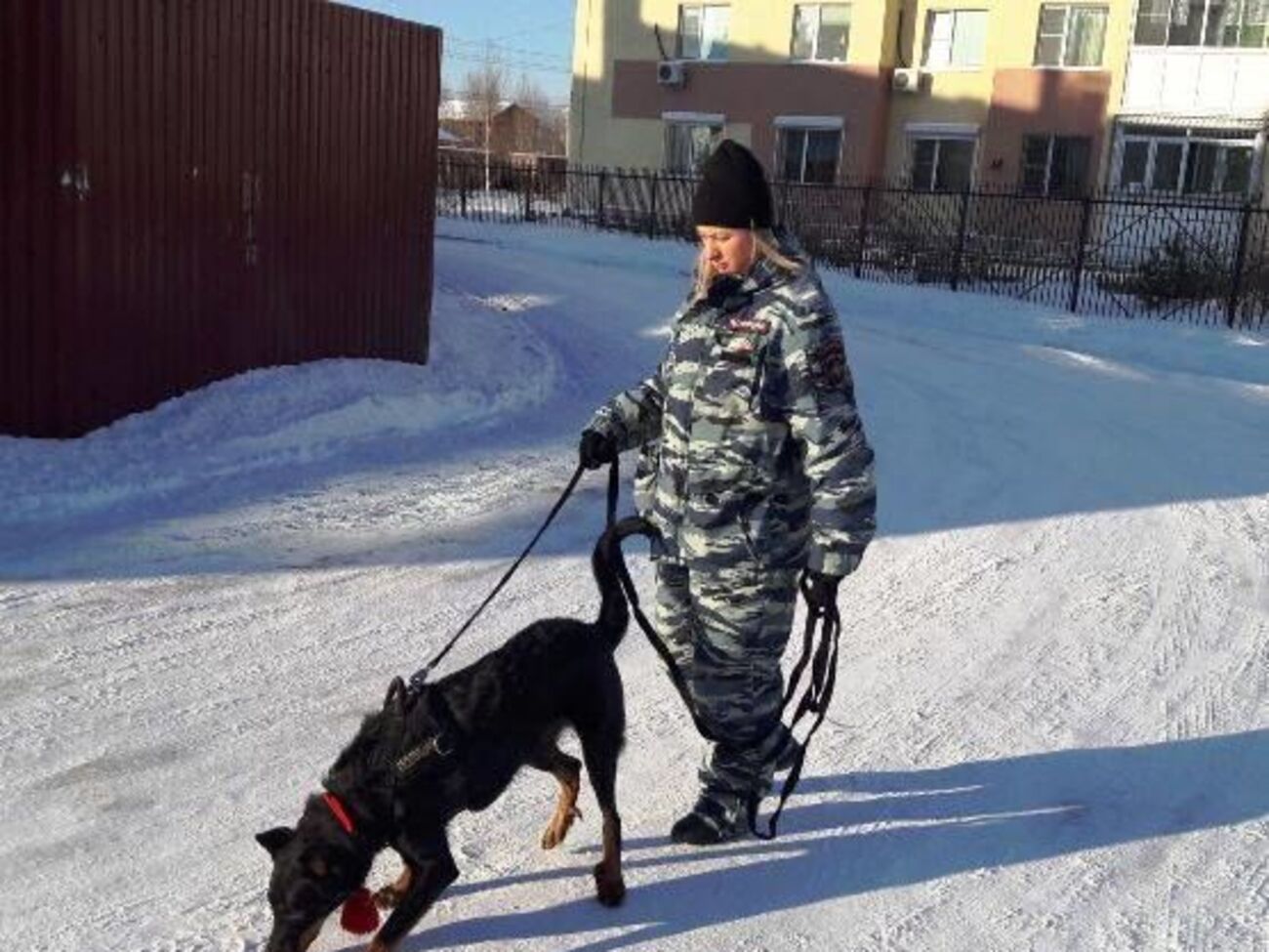 На местах вызовов работали кинологи