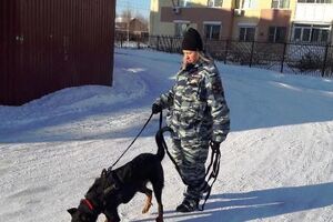 На местах вызовов работали кинологи