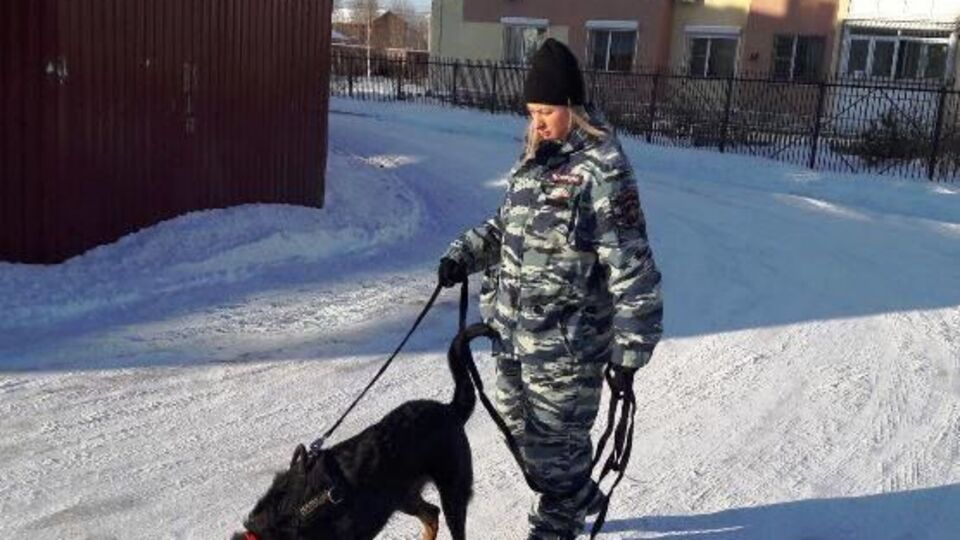 На местах вызовов работали кинологи