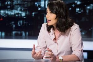 Деканоидзе: Политическое обвинение в Грузии оспаривает конституционное право президента Грузии уменьшить срок заключенных