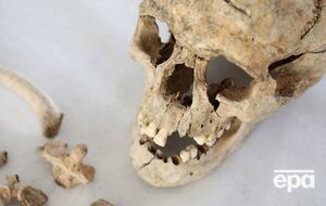 Ученые извлекли геном древнего человека, найденного в Северной Америке