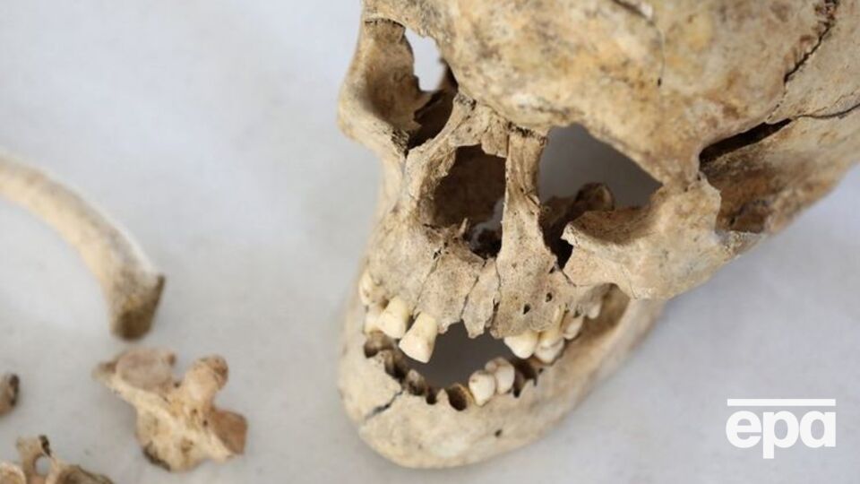 Ученые извлекли геном древнего человека, найденного в Северной Америке