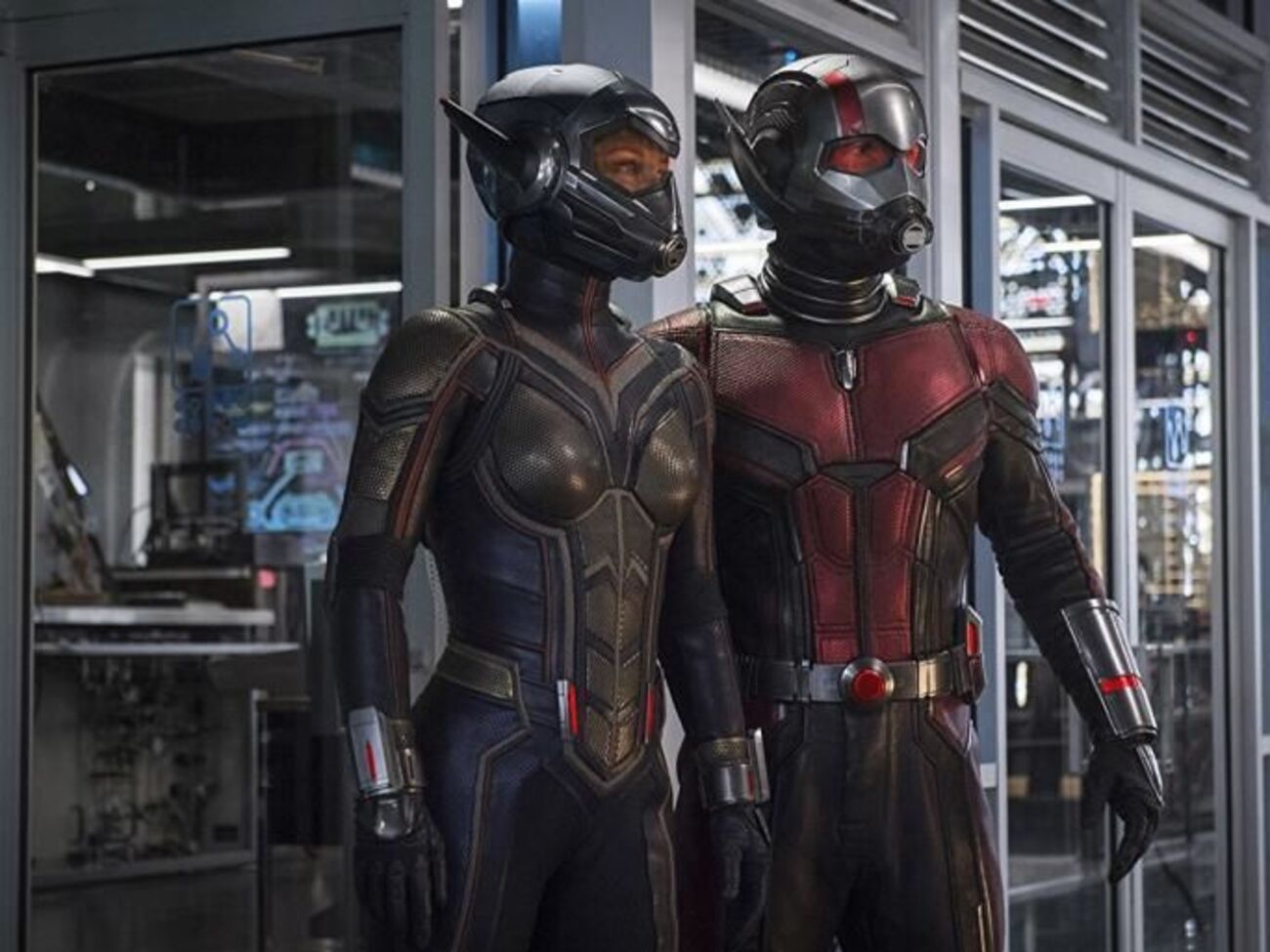 У Человека-муравья появится подруга