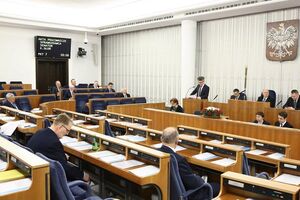 После голосования в комиссиях инициативу рассмотрят на общем заседании Сената