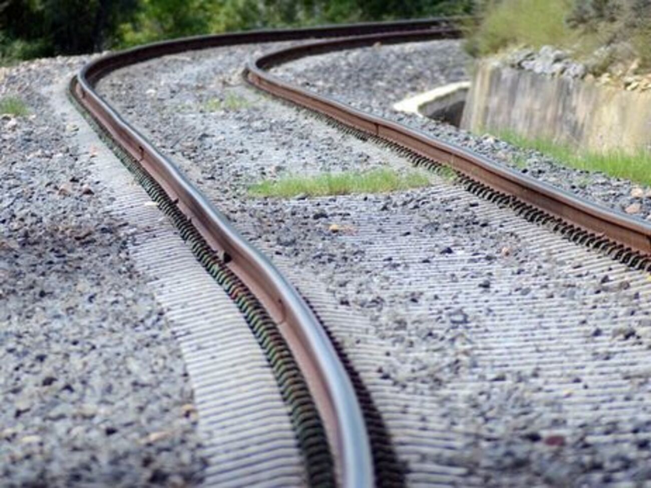 Малышей нашли в поезде