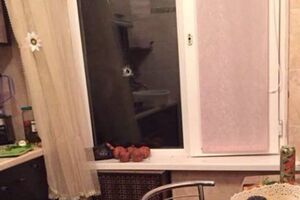 Випущена на честь настання Нового року куля залетіла у вікно і влучила в дівчину