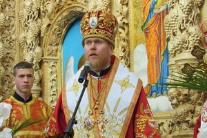 Зоря: Все остается на уровне волюнтаризма