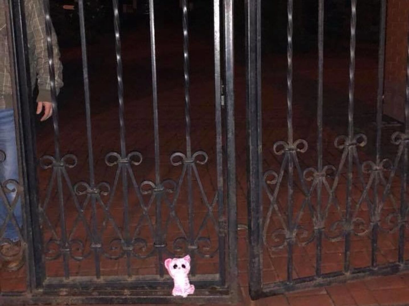 Арьев:&nbsp;Охранник мгновенно унес игрушку. Но так, чтобы в кадр не попасть