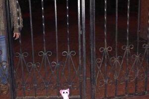 Арьев: Охранник мгновенно унес игрушку. Но так, чтобы в кадр не попасть