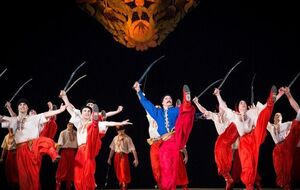 Ансамбль Вирского был основан в 1961 году