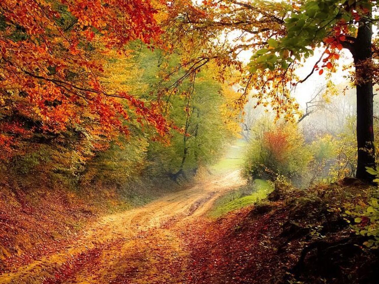 В ближайшее время в дневные часы температура воздуха ожидается на уровне +12&hellip;+17 &deg;C
