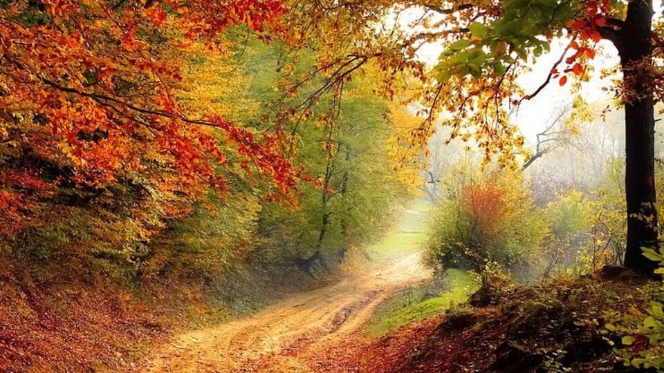 Найближчим часом у денні години температура повітря очікується на рівні +12...+17 °C