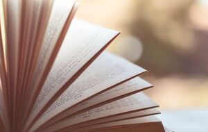 Штраф для кожного підприємця, який незаконно поширював книги з РФ, становив 37 320 грн