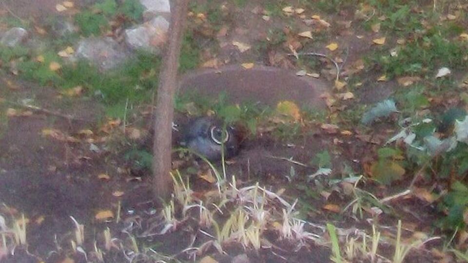 Радник голови Луганської облдержадміністрації Віталій Шведов повідомив, що в клумбу біля спеціалізованої школи №27 упав гіроскоп