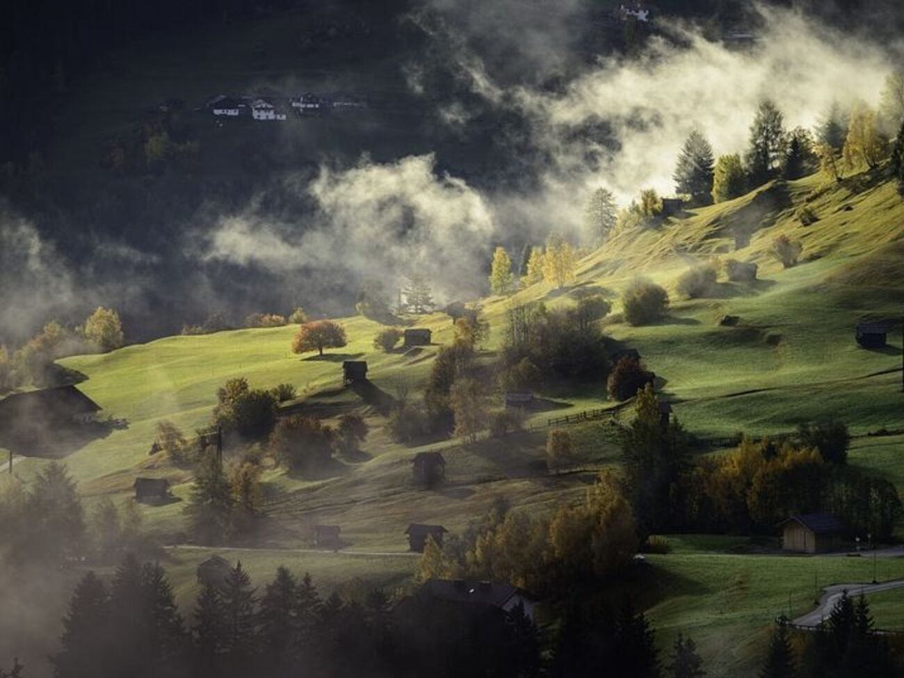 У Карпатах цими днями можливі заморозки