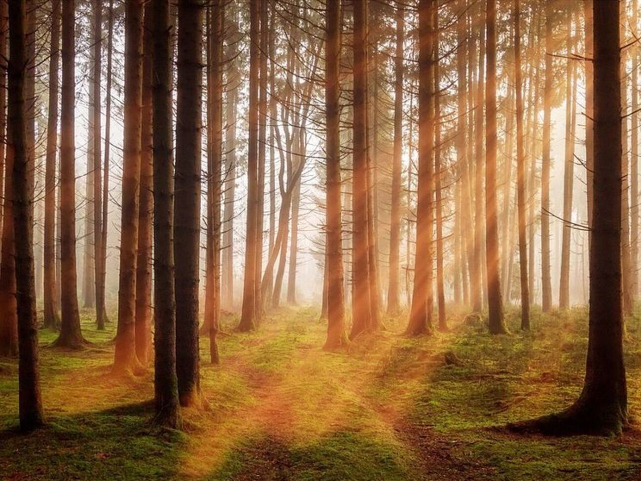 Синоптик сказала, що наступного тижня в Україні буде тепло