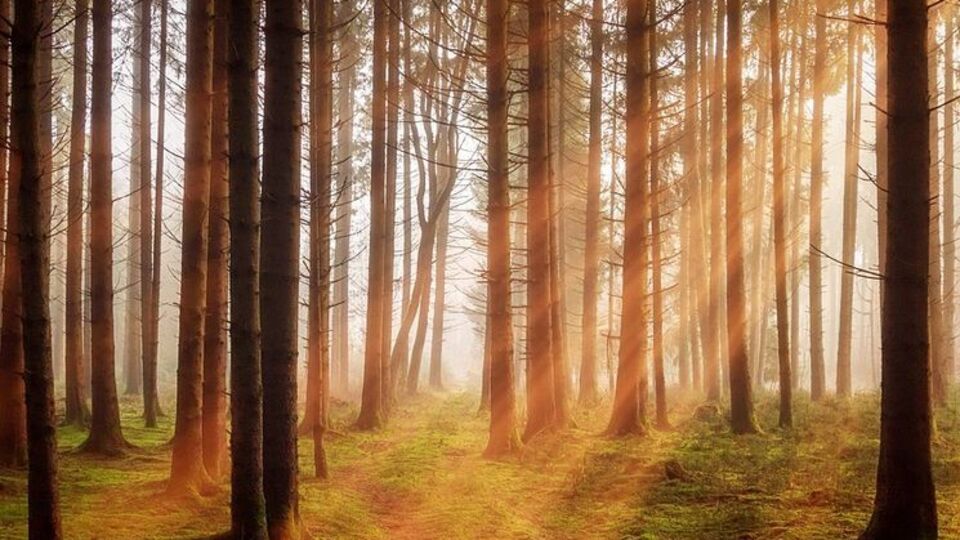 Синоптик сказала, що наступного тижня в Україні буде тепло